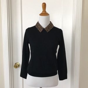 New J. Crew Leopard Print Collar Merino Sweater